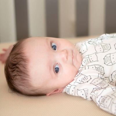 buy buy baby naturepedic