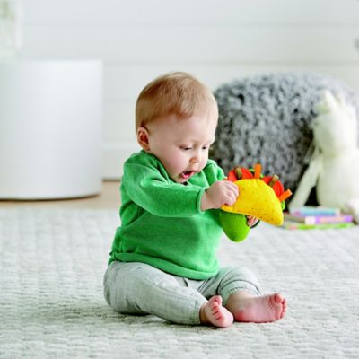 fisher price taco tuesday gift set