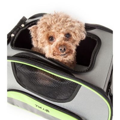 skysmart airline approved pet carrier