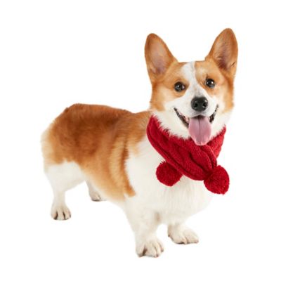 how to knit a dog scarf