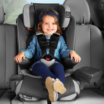 chicco myfit booster