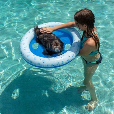 small dog pool float