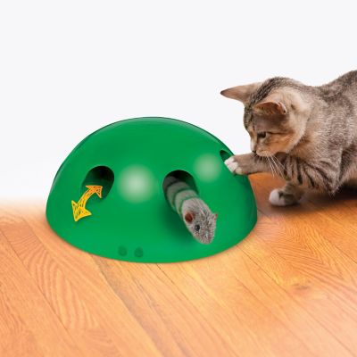 pop n play for cats