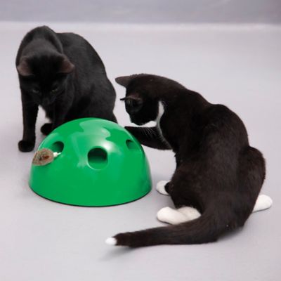popnplay cat toy discount code