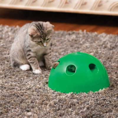 pop n play for cats