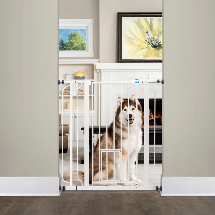 Carlson Extra-Tall Pressure-Mount Walk-Through Pet Gate in White