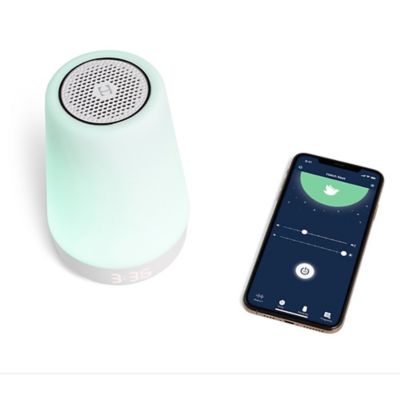 hatch baby rest bed bath and beyond