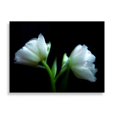 Buy Ilona Wellmann “Blume 4 Canvas Print from  Bed Bath & Beyond
