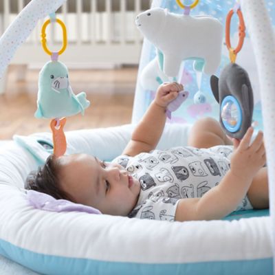 carter's my ocean friends play gym