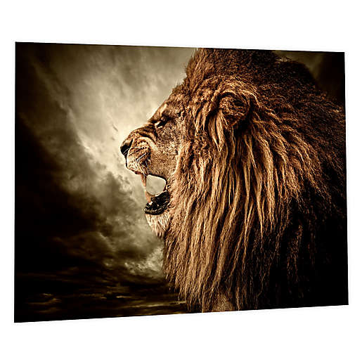 Hear Me Roar Photographic Tempered Glass Wall Art Bed Bath And Beyond Canada - Tempered Glass Wall Art Canada