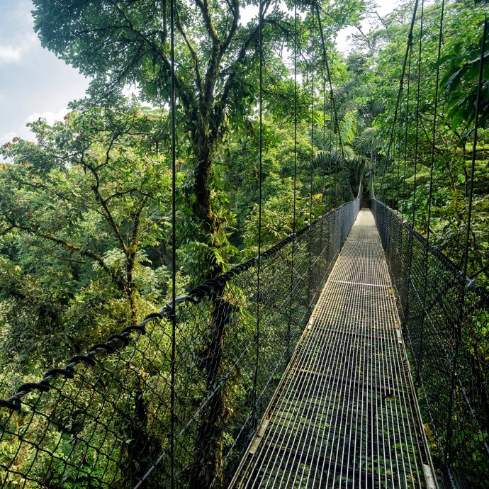 Costa Rica Rainforest Aerial Tram and Canopy Tour by Spur Experiences ...