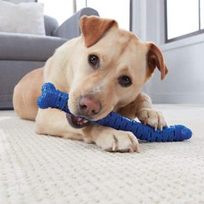 self brushing dog toothbrush