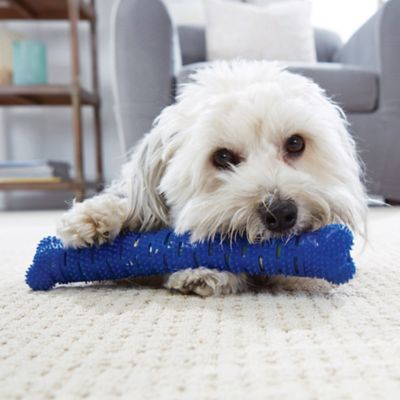 self brushing dog toothbrush