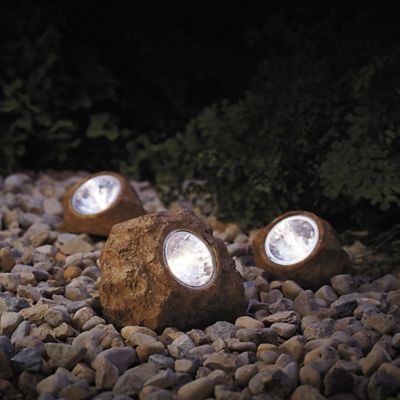 Solar Rock Landscaping Spotlights (Set of 3) - Bed Bath & Beyond