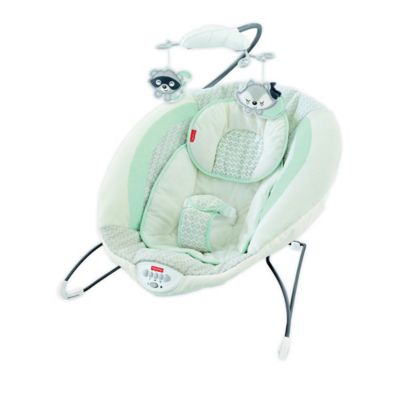 fisher price deluxe bouncer moonlight meadow