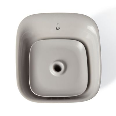 motion sensor dog water fountain