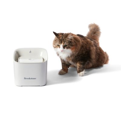 bed bath and beyond pet fountain