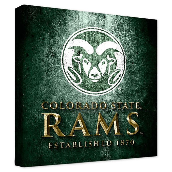 Colorado State University Framed Canvas Museum Design Wall Art Bed