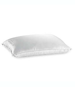 Almohada estándar/queen de algodón Wamsutta® Dream Zone® para dormir boca arriba/boca abajo