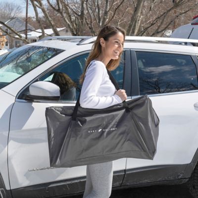 baby delight bouncer