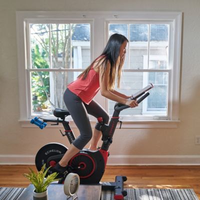 bed bath and beyond stationary bike