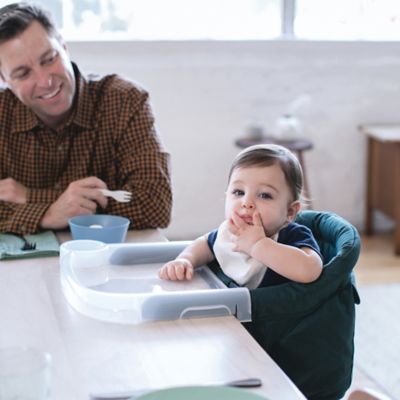 inglesina fast table high chair