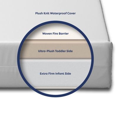 moonlight slumber little dreamer target