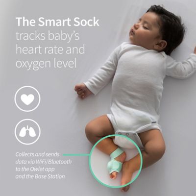 buy buy baby owlet coupon