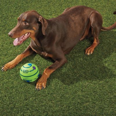 wobble wag giggle ball petco