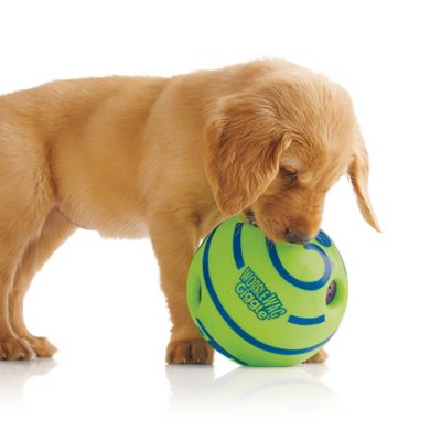 wiggle ball for dogs