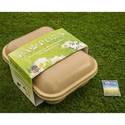 paw pods pet casket