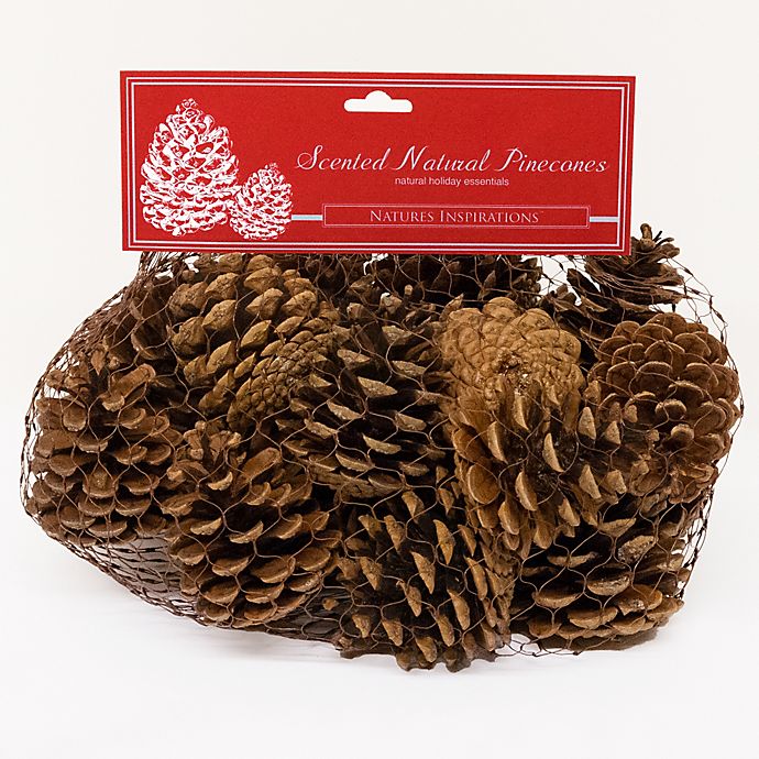 Pinecones Red Shed Gifts Cinnamon Scented Large Bag of 2" to 4" Pine Cones 