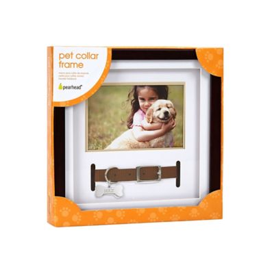 dog collar picture frame