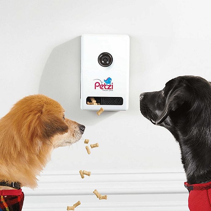 Petzi™ Remote Treat Camera for Pets
