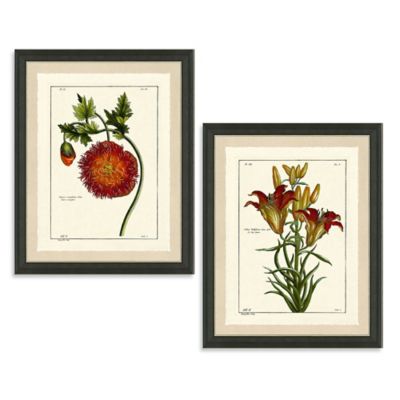 botanical framed rustic