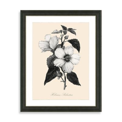 Buy Framed Yellow and White Botanical Giclee Print I Wall Art from  Bed Bath & Beyond