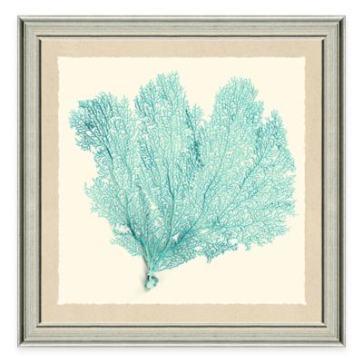 Framed Giclée Teal Sea Fan Print I Wall Art - Bed Bath & Beyond