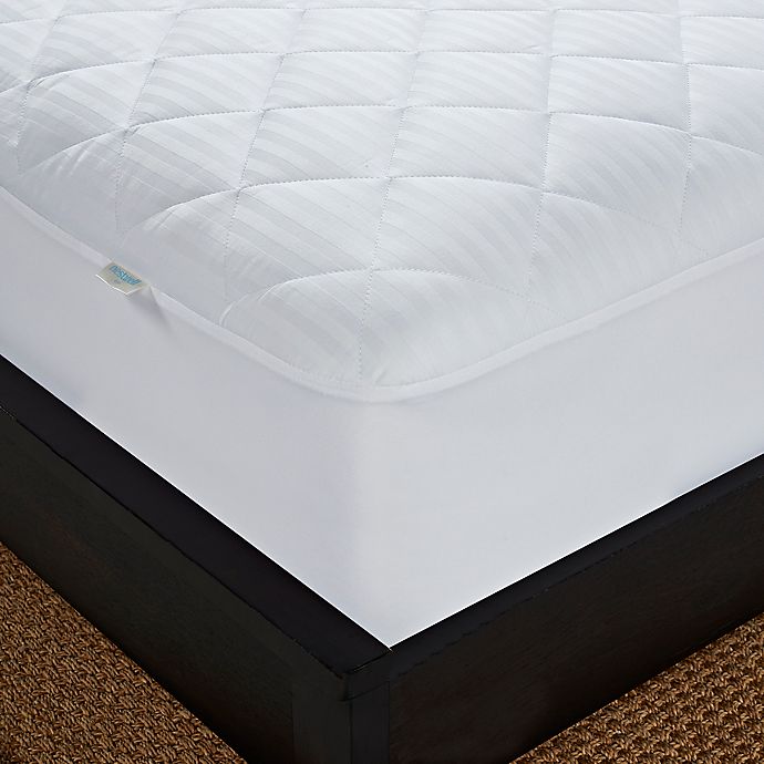 Nestwell™ Cotton Comfort Waterproof Mattress Pad