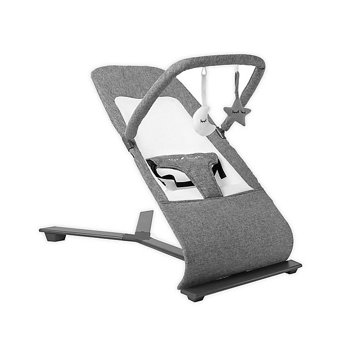 Baby Delight® Go with Me Alpine Deluxe Portable Baby Bouncer in Charcoal