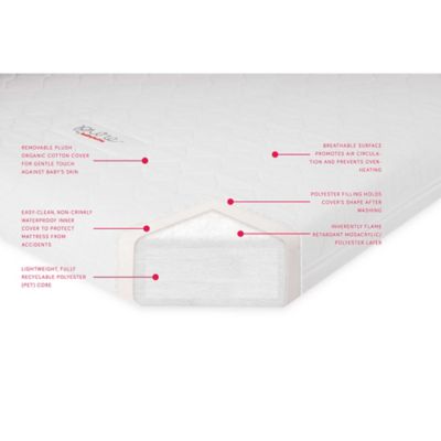 pure babyletto mattress