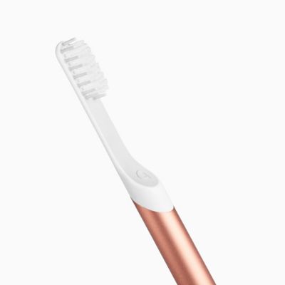 quip toothbrush bed bath and beyond