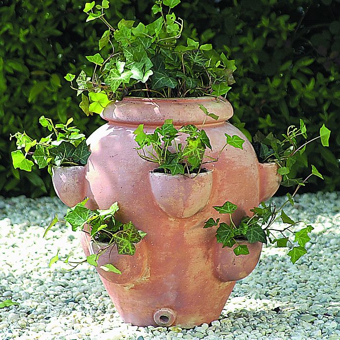 Ceramic Plant Pot Strawberry Terracotta Planter Clay Flower Pot 