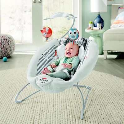 fisher price see and soothe deluxe bouncer assembly