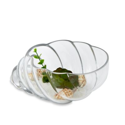 terrarium