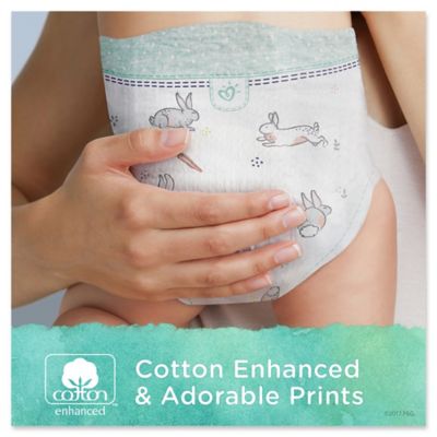 pure pampers size 5
