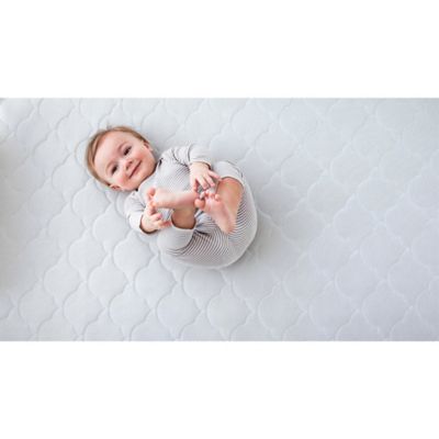 buy buy baby newton crib mattress