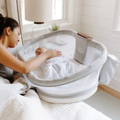 halo bassinest buy buy baby