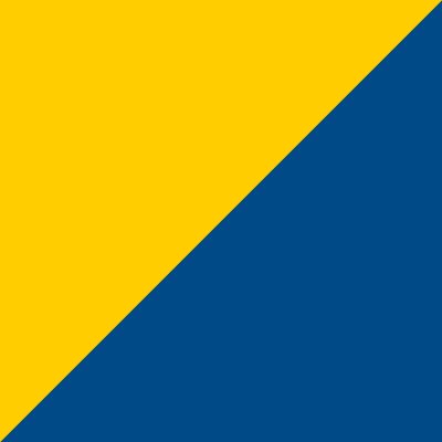 Flag Collection Huppari selkäpainatuksella