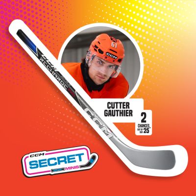 Secret Mini Sticks (2026)