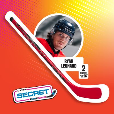 Secret Mini Sticks (2026)